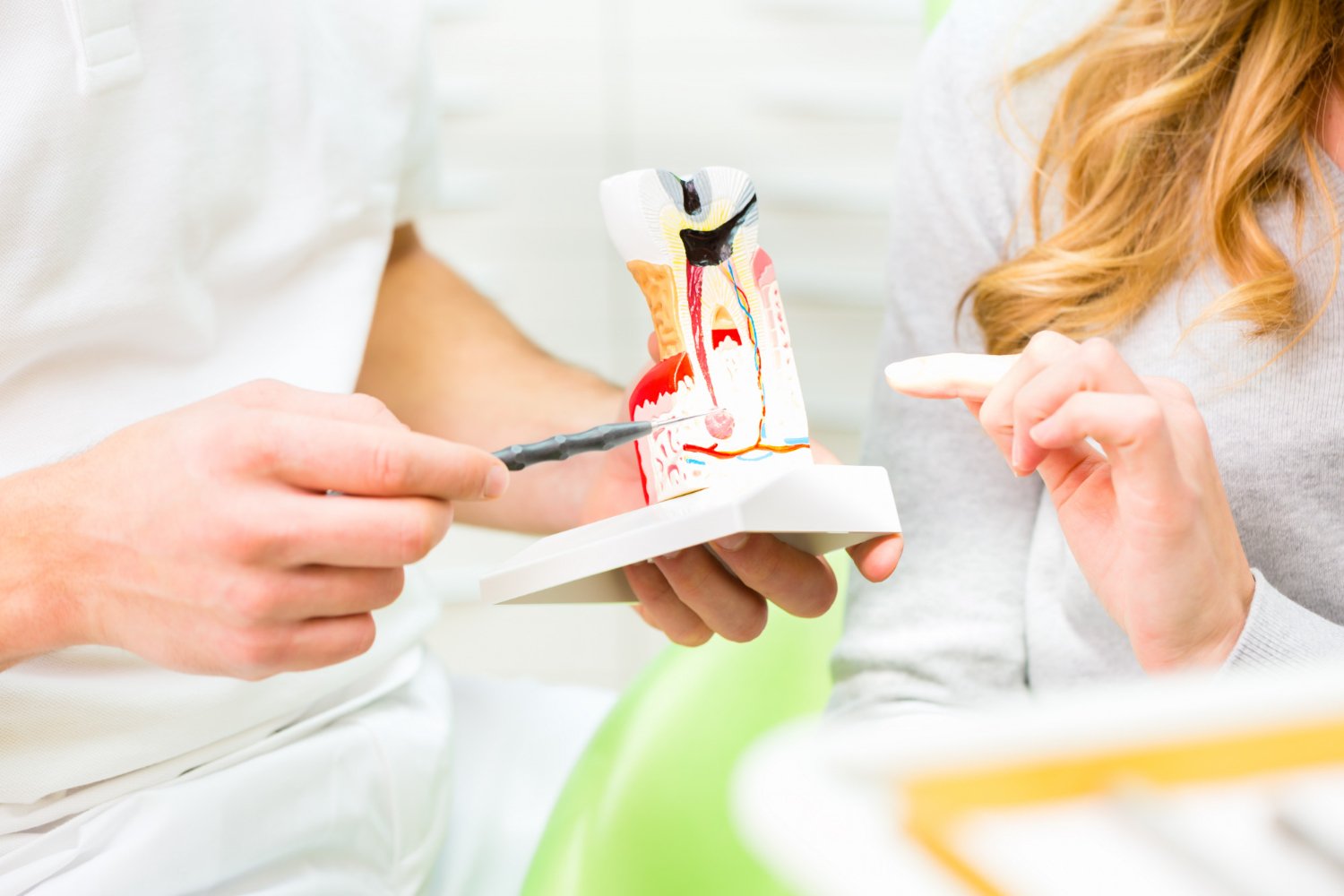 Konzervativa i endodoncija - Srećan Zub